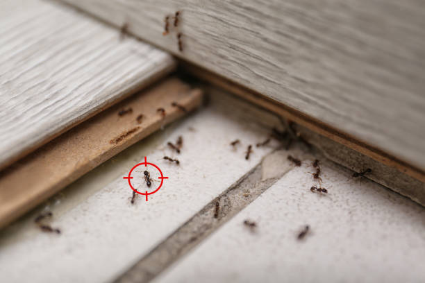 Best Commercial Pest Control Services  in Turtle Creek, PA